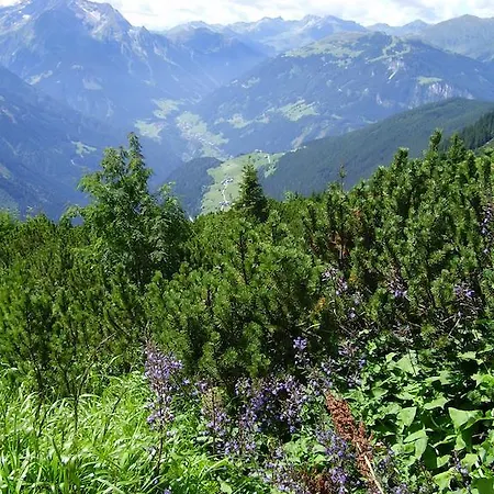 Appartementhaus Angelika Stumm