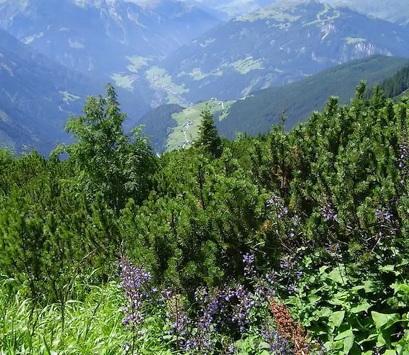 Appartementhaus Angelika 스텀